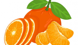 橘子动漫,青春校园的甜蜜旋律