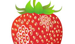 草莓视频网,探索短视频世界的无限魅力